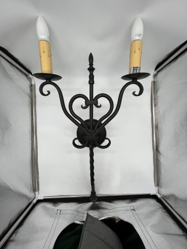 Elegante  Double Wall Sconce