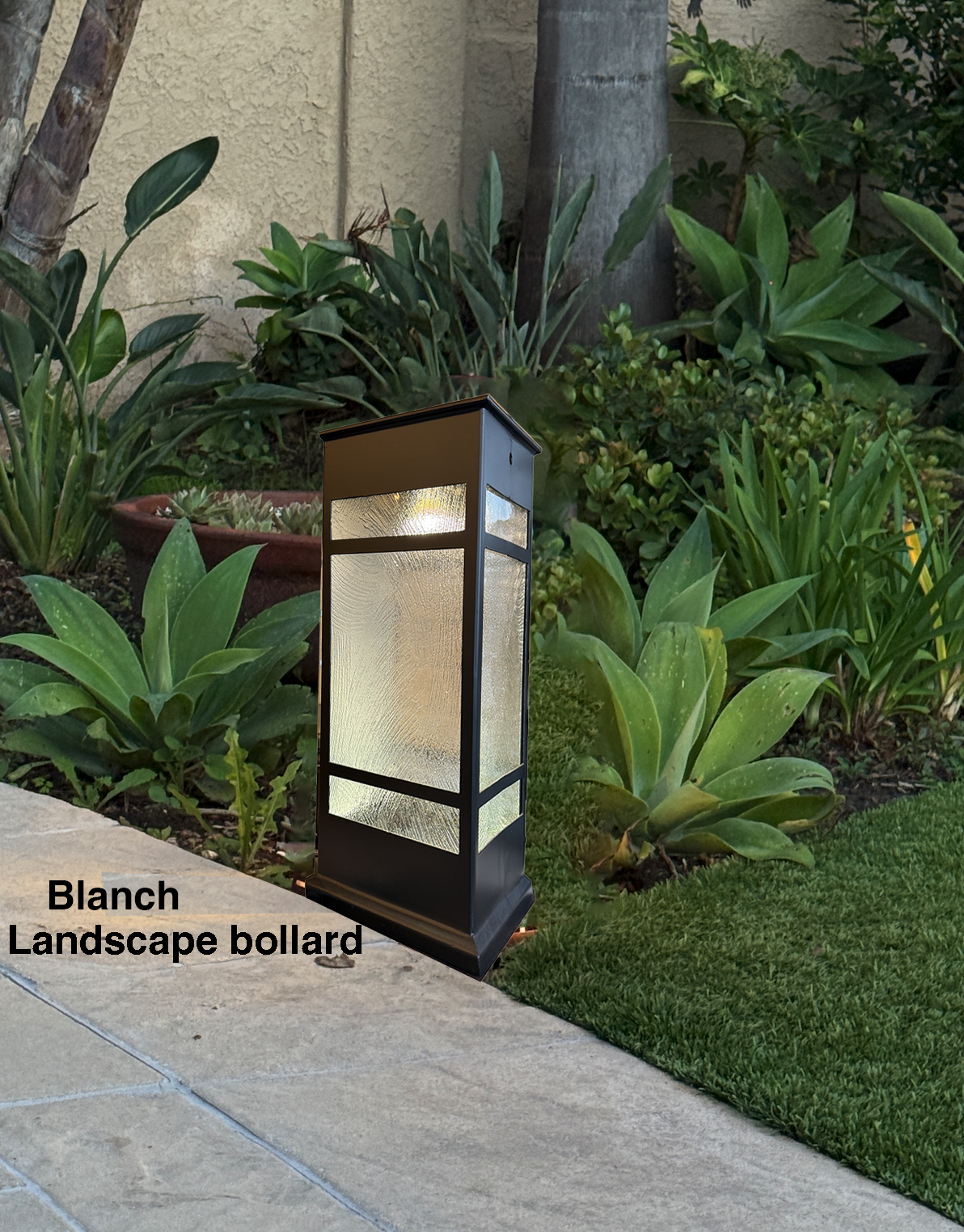 Blanch Path Light