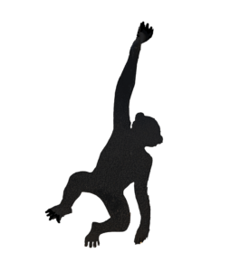 Hanging monkey