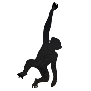 Hanging Monkey