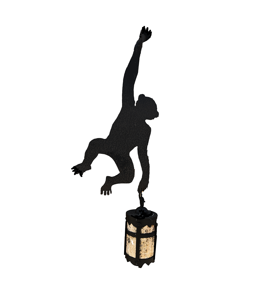 Hanging Monkey