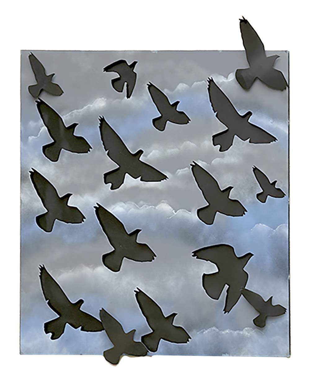 Northby Nortwest-Birds-Aluminum