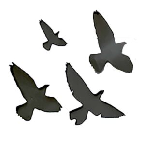 North by Northwest : Set of 4 Birds-Steel