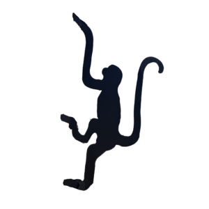Climbing Monkey