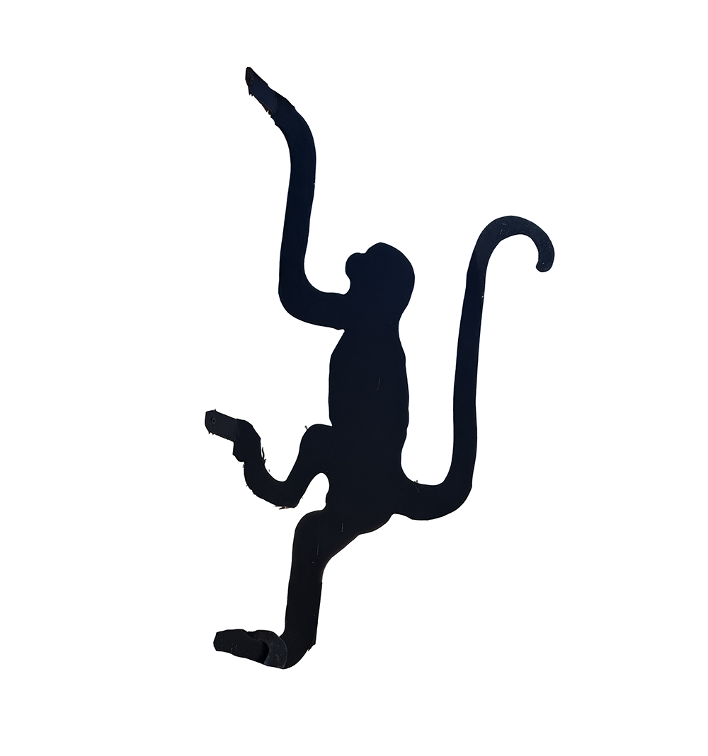 Climbing Monkey