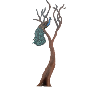 Peacock in tree