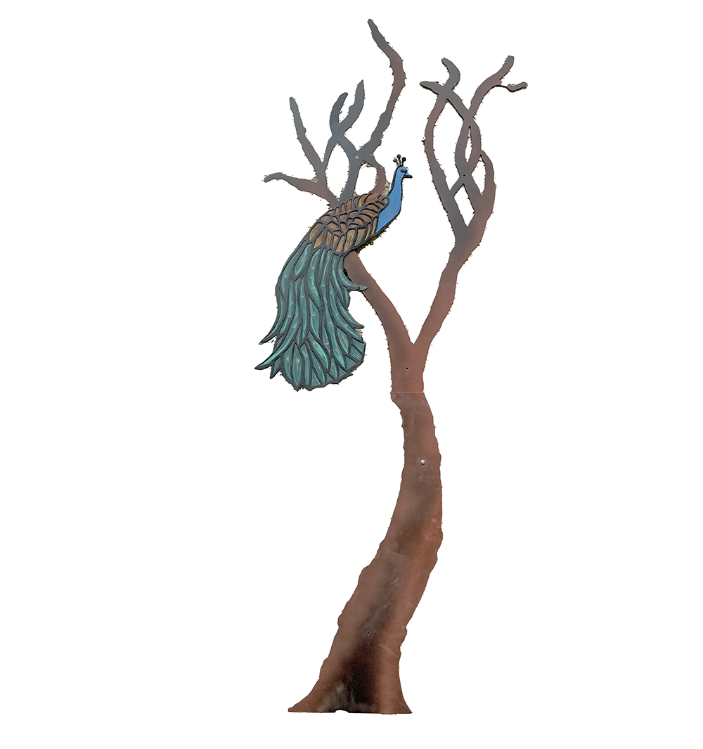 Peacock in tree